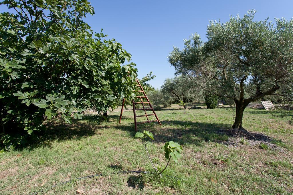 Mas Des Collines Acomodação com café da manhã Fontvieille Quarto foto